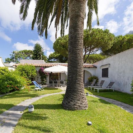 Villetta con Piscina condivisa e Giardino esclusivo di 1000 mq Forio di Ischia Esterno foto