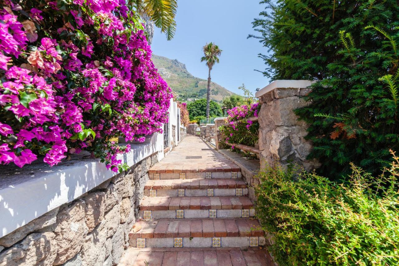 Villetta con Piscina condivisa e Giardino esclusivo di 1000 mq Forio di Ischia Esterno foto