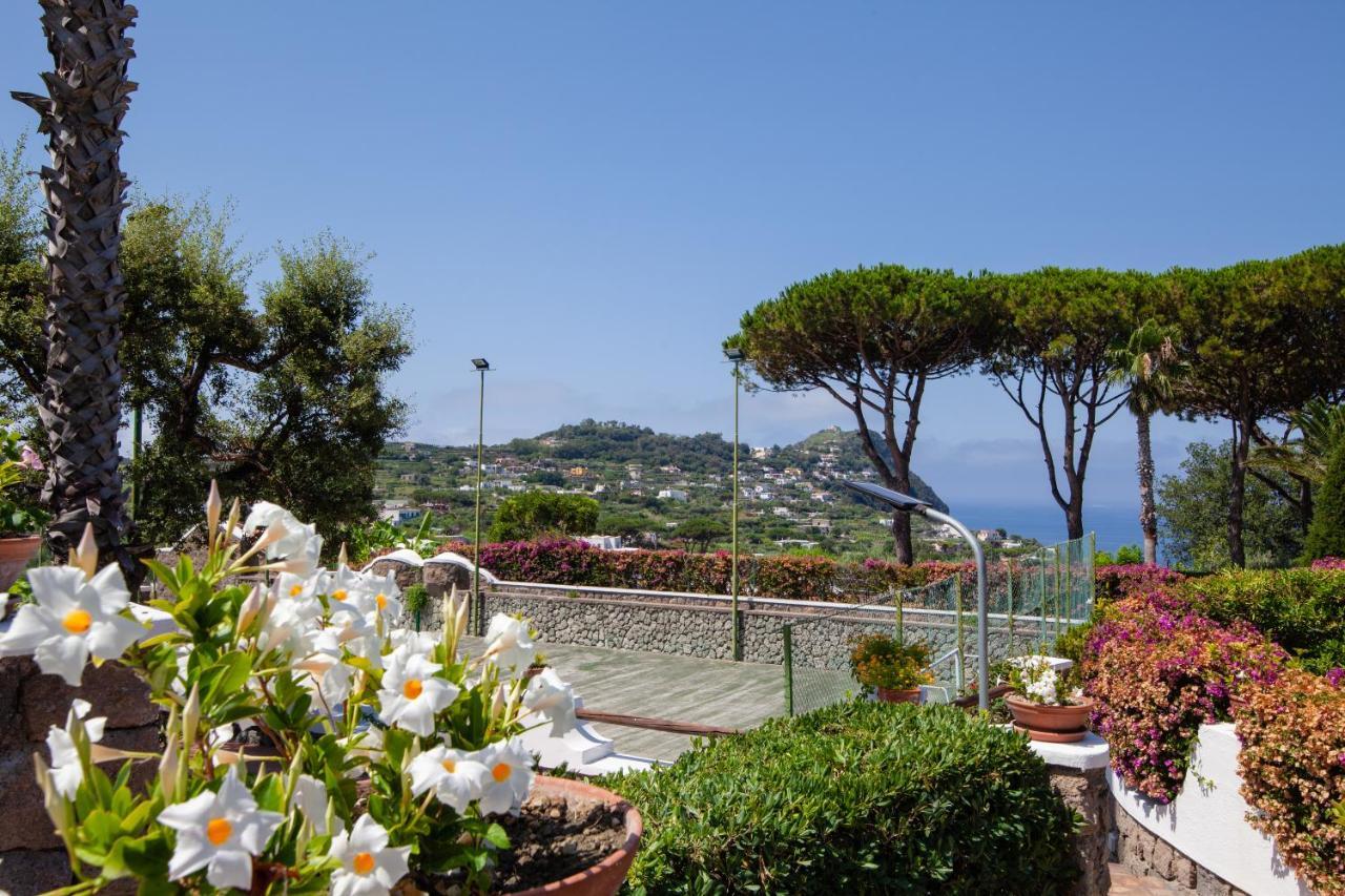 Villetta con Piscina condivisa e Giardino esclusivo di 1000 mq Forio di Ischia Esterno foto