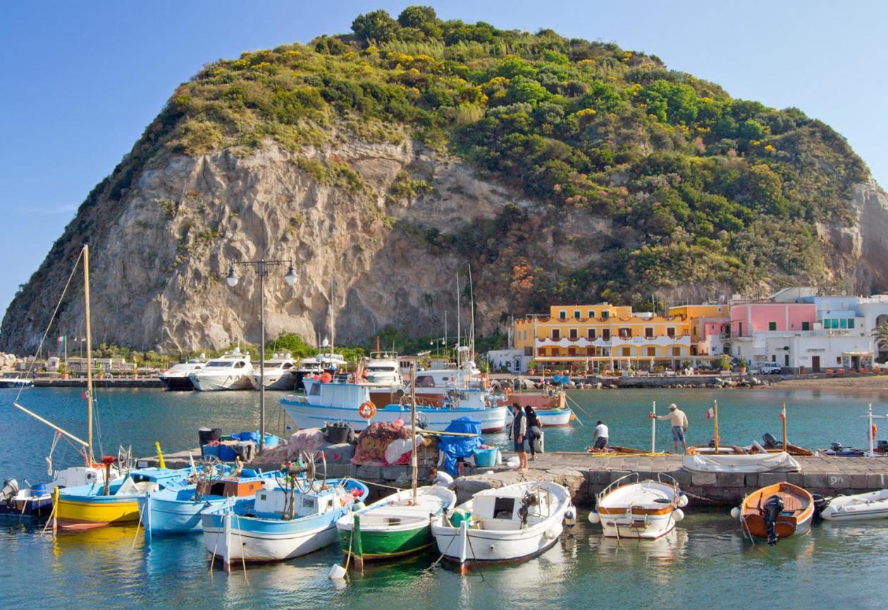 Villetta con Piscina condivisa e Giardino esclusivo di 1000 mq Forio di Ischia Esterno foto