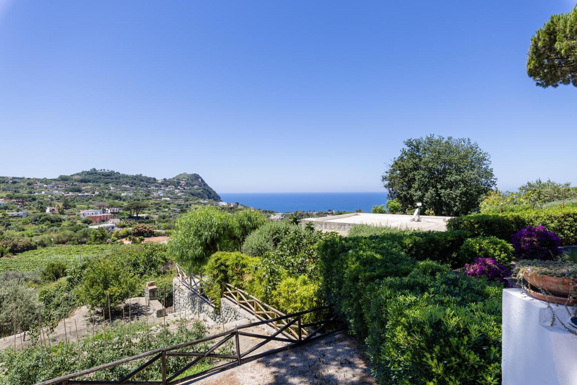 Villetta con Piscina condivisa e Giardino esclusivo di 1000 mq Forio di Ischia Esterno foto