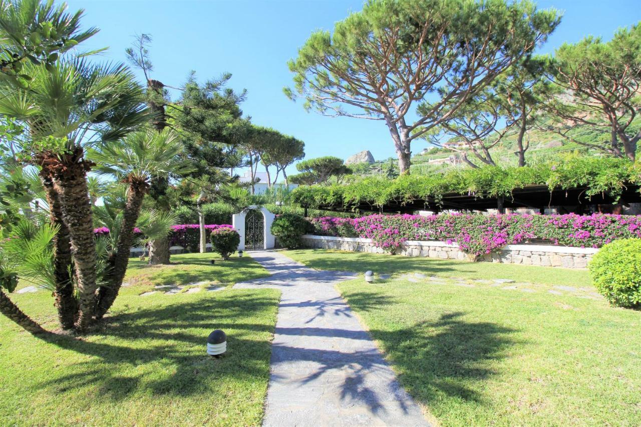 Villetta con Piscina condivisa e Giardino esclusivo di 1000 mq Forio di Ischia Esterno foto