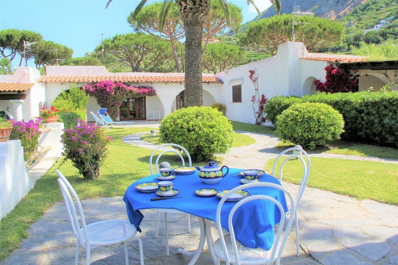 Villetta con Piscina condivisa e Giardino esclusivo di 1000 mq Forio di Ischia Esterno foto