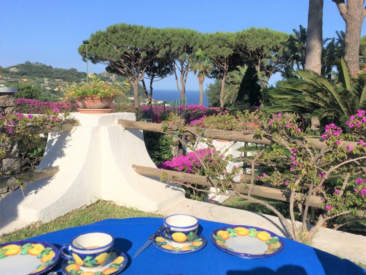 Villetta con Piscina condivisa e Giardino esclusivo di 1000 mq Forio di Ischia Esterno foto