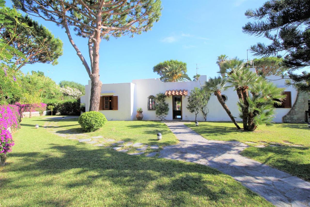 Villetta con Piscina condivisa e Giardino esclusivo di 1000 mq Forio di Ischia Esterno foto